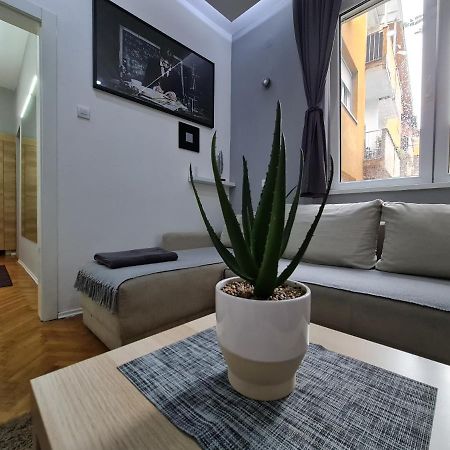 Apartament Nikola Tesla City Walk Nisz Zewnętrze zdjęcie